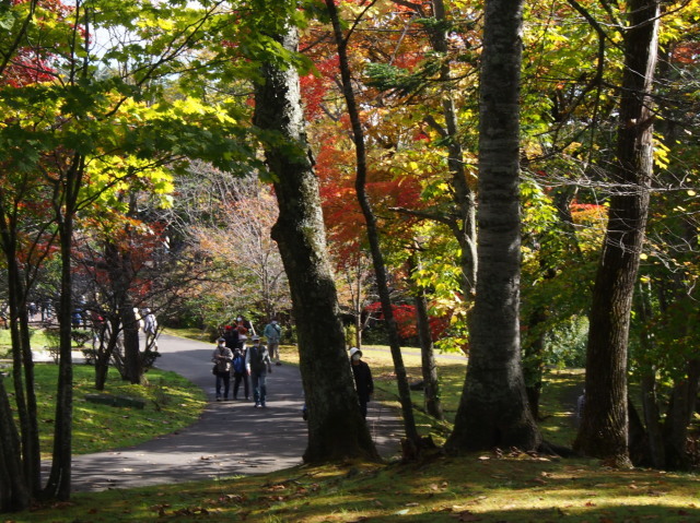 夕張　滝の上公園の紅葉　10/17_c0360399_21154442.jpg