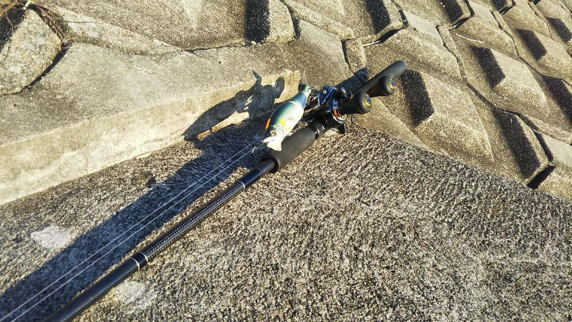 ドムドライバー The DOMDRIVER SPECIAL EDITION HGC-80XR 8'0″/SE | deps