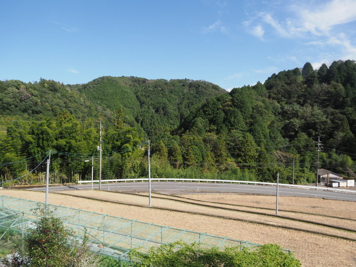 晴れた_c0116915_23285145.jpg