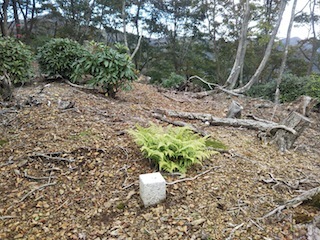 サクッとハイキング…奥美濃・小津権現山_c0359615_09523925.jpg