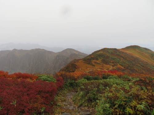 やっぱり雨の浅草岳(TT) ご褒美は美味しいキノコ尽くし_a0309917_19345875.jpg