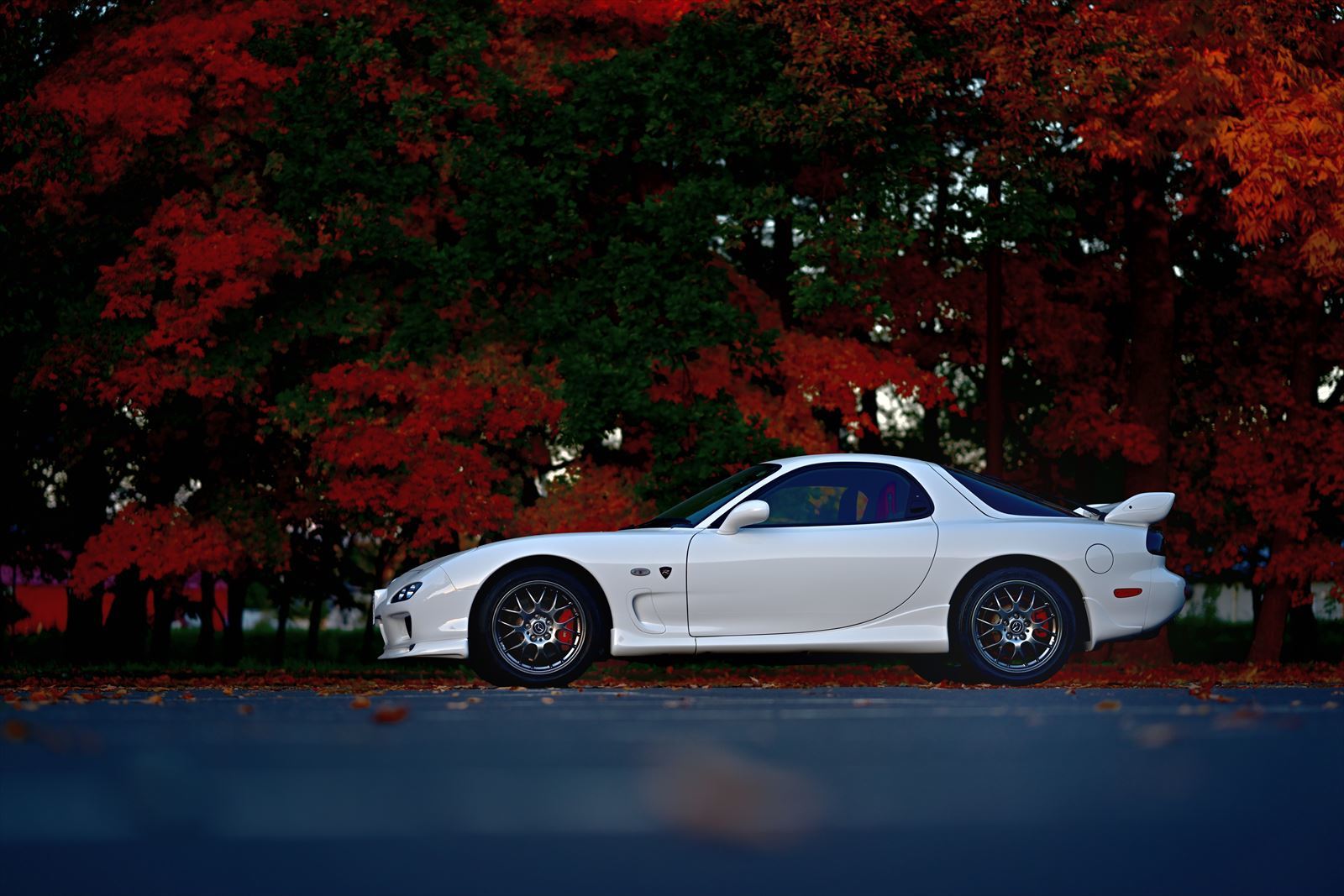 Fd3sと紅葉 やぁやぁ
