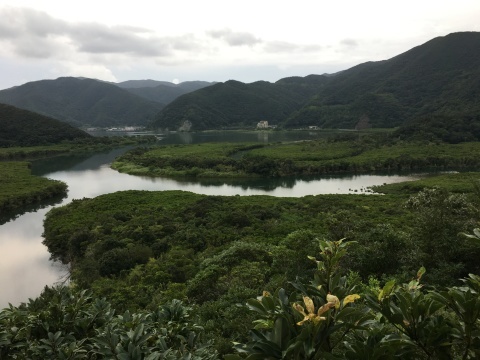 go to 奄美大島_e0237625_14570583.jpg