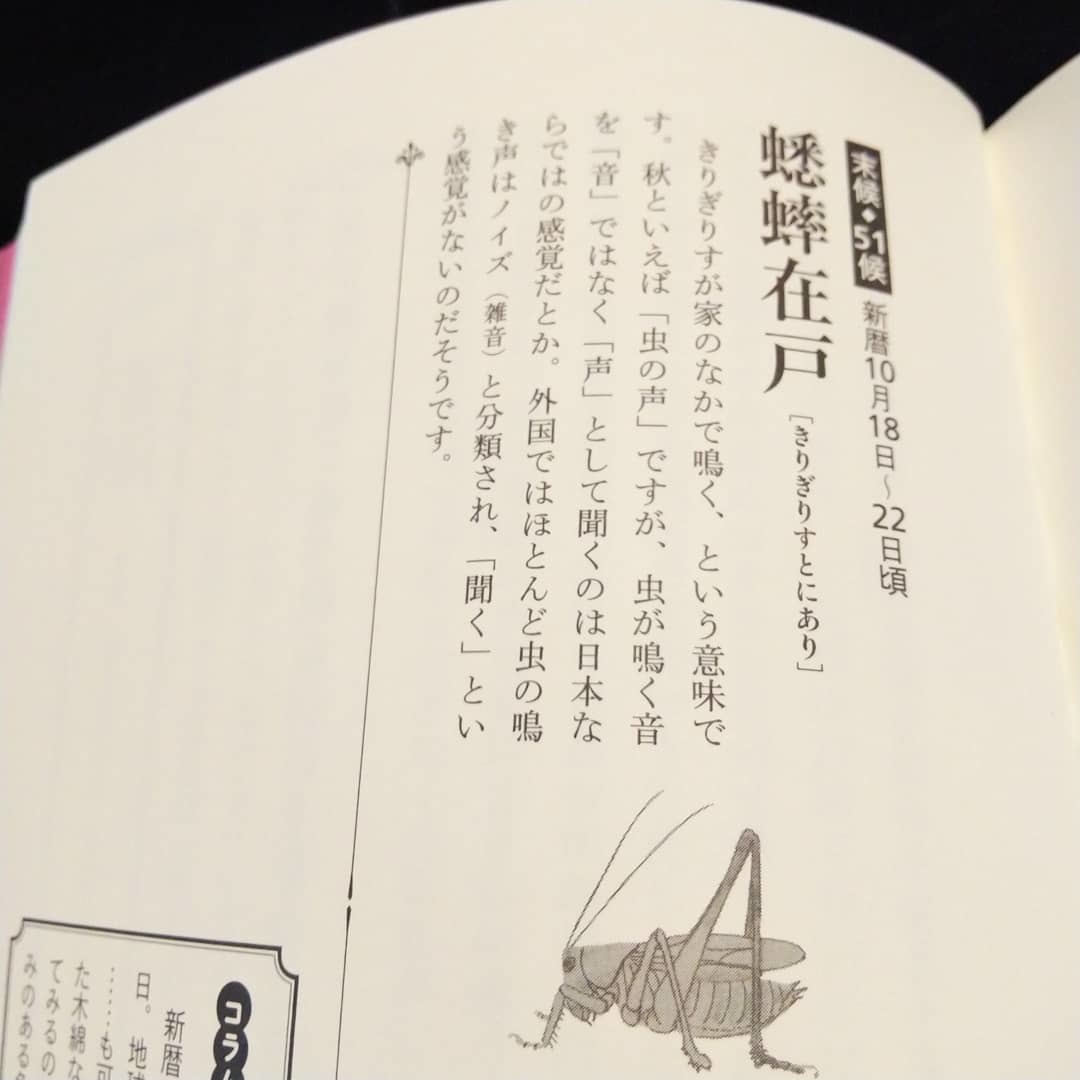 201019 二十四節気「蟋蟀在戸(きりぎりすとにあり)」です✨_f0164842_20495122.jpg