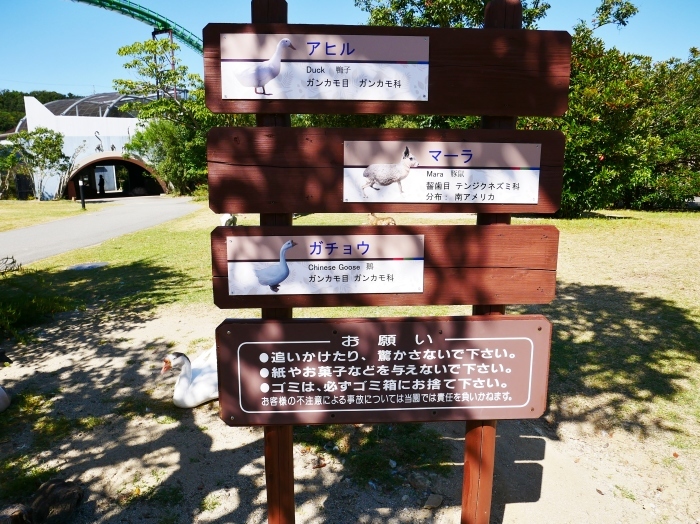 アドベンチャーワールドへ４　　ふれあい広場にて　　２０２０-１０-２２　００：０００_b0093754_20553241.jpg