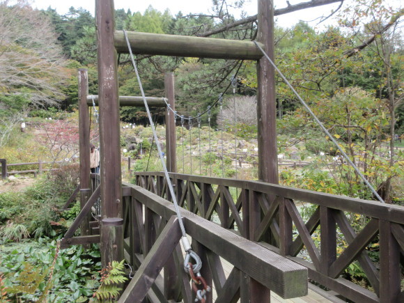 六甲高山植物園_d0154954_18455757.jpg