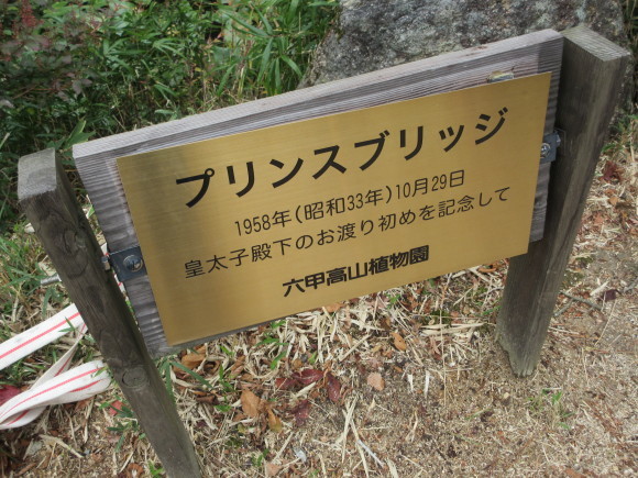 六甲高山植物園_d0154954_18461456.jpg