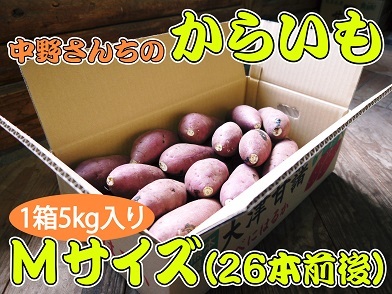 熊本産大津甘藷『からいも(サツマイモ)』からいも栽培50年の匠のからいも新規販売と初出荷日決定！(後編)_a0254656_19000265.jpg