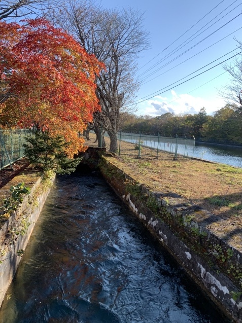 紅葉の支笏湖-千歳ポタリング2020_d0197762_16164394.jpeg