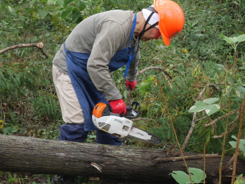 山桜植樹予定地の台風被害木片付け完了：10・18六国見山手入れ（上）_c0014967_18375330.jpg