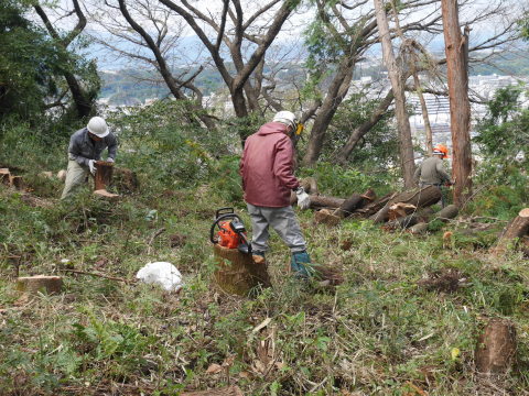 山桜植樹予定地の台風被害木片付け完了：10・18六国見山手入れ（上）_c0014967_18391659.jpg