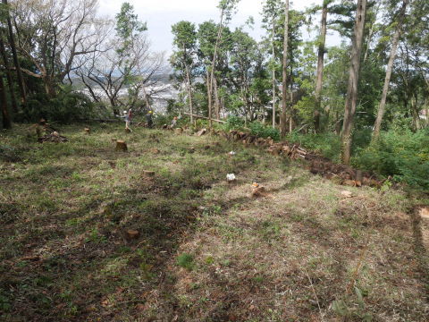 山桜植樹予定地の台風被害木片付け完了：10・18六国見山手入れ（上）_c0014967_18415675.jpg