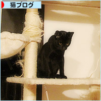 猫の実_a0389088_03592234.jpg