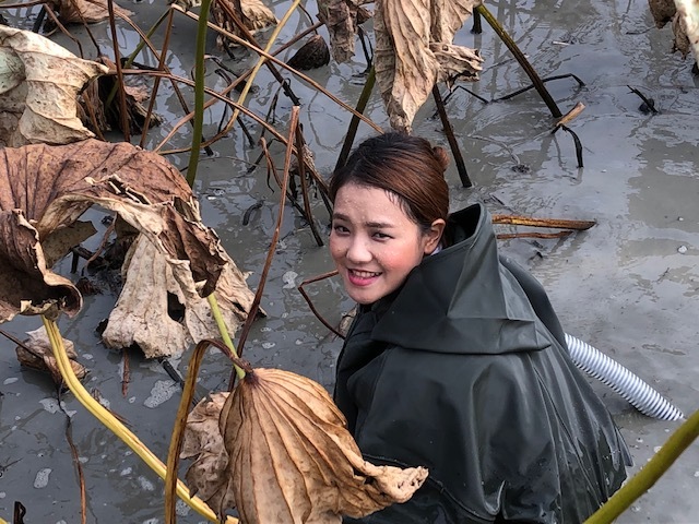 蓮根初掘り_e0183792_18291777.jpg
