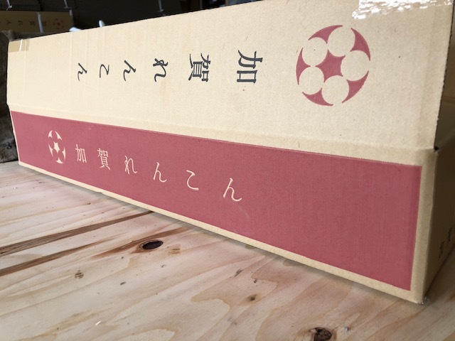 蓮根初掘り_e0183792_18302625.jpg