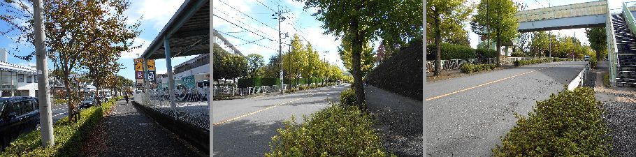 紅葉が始まりました(*^^)v_b0159896_06065980.jpg