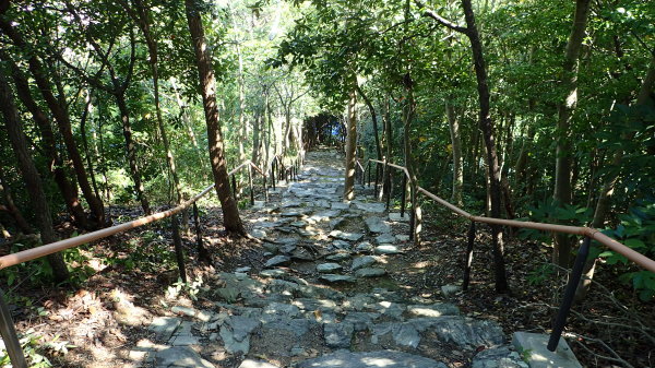 奠供山、玉津島神社、鏡山、奇麗です。_c0367107_12371476.jpg