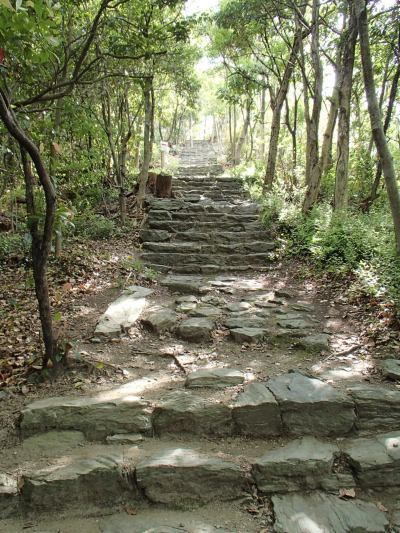 奠供山、玉津島神社、鏡山、奇麗です。_c0367107_14462383.jpg