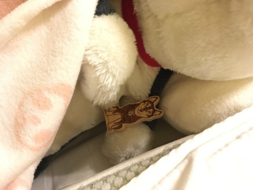 押入れ掃除とNewフィッツケース_f0369014_09171820.jpeg