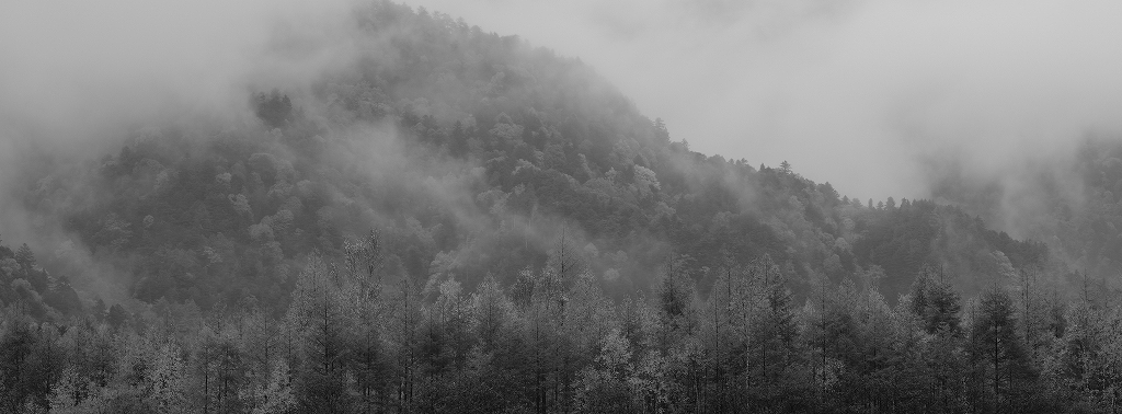 霧雨山塊図_f0050534_07375122.jpg