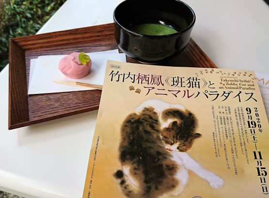 “めで鯛”和菓子 & 竹内栖鳳『班猫』とアニマルパラダイス展@広尾・山種美術館_f0337357_15191296.jpg