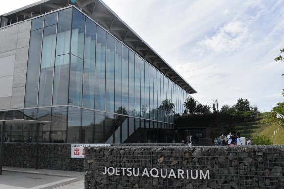 上越市立水族博物館「うみがたり」。_b0050067_16433573.jpg