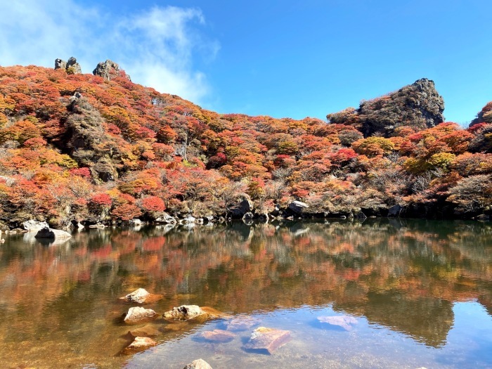 山は紅葉してます。_f0232994_16181180.jpg