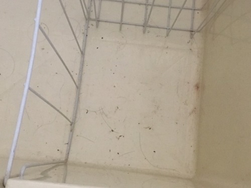 洗面台下、断熱カーテン、トイレ掃除_f0369014_21415733.jpeg