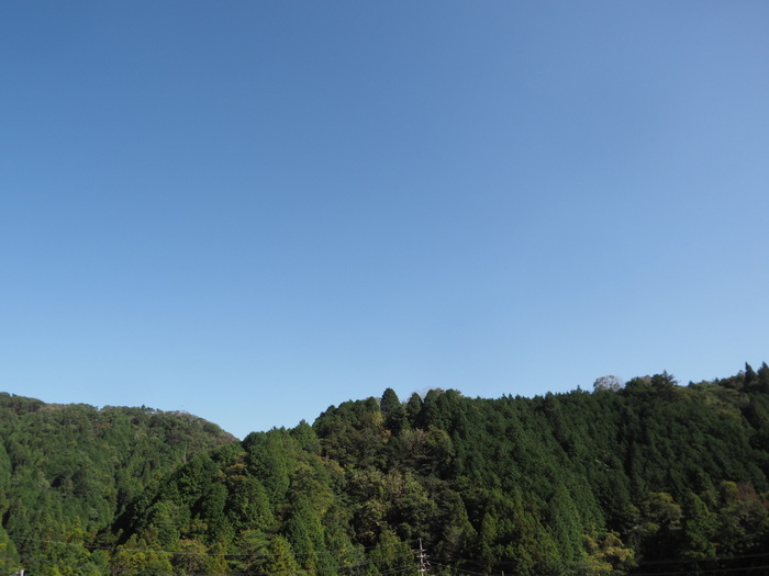 秋晴れ_c0116915_00340051.jpg