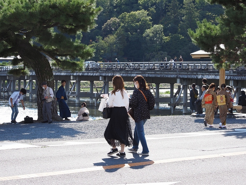 もうすぐ紅葉の季節ですな_e0374932_06574976.jpg