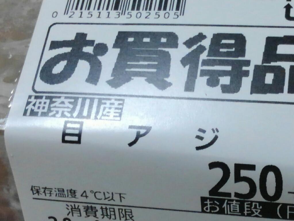 神奈川産 目アジ 神奈川徒歩々旅