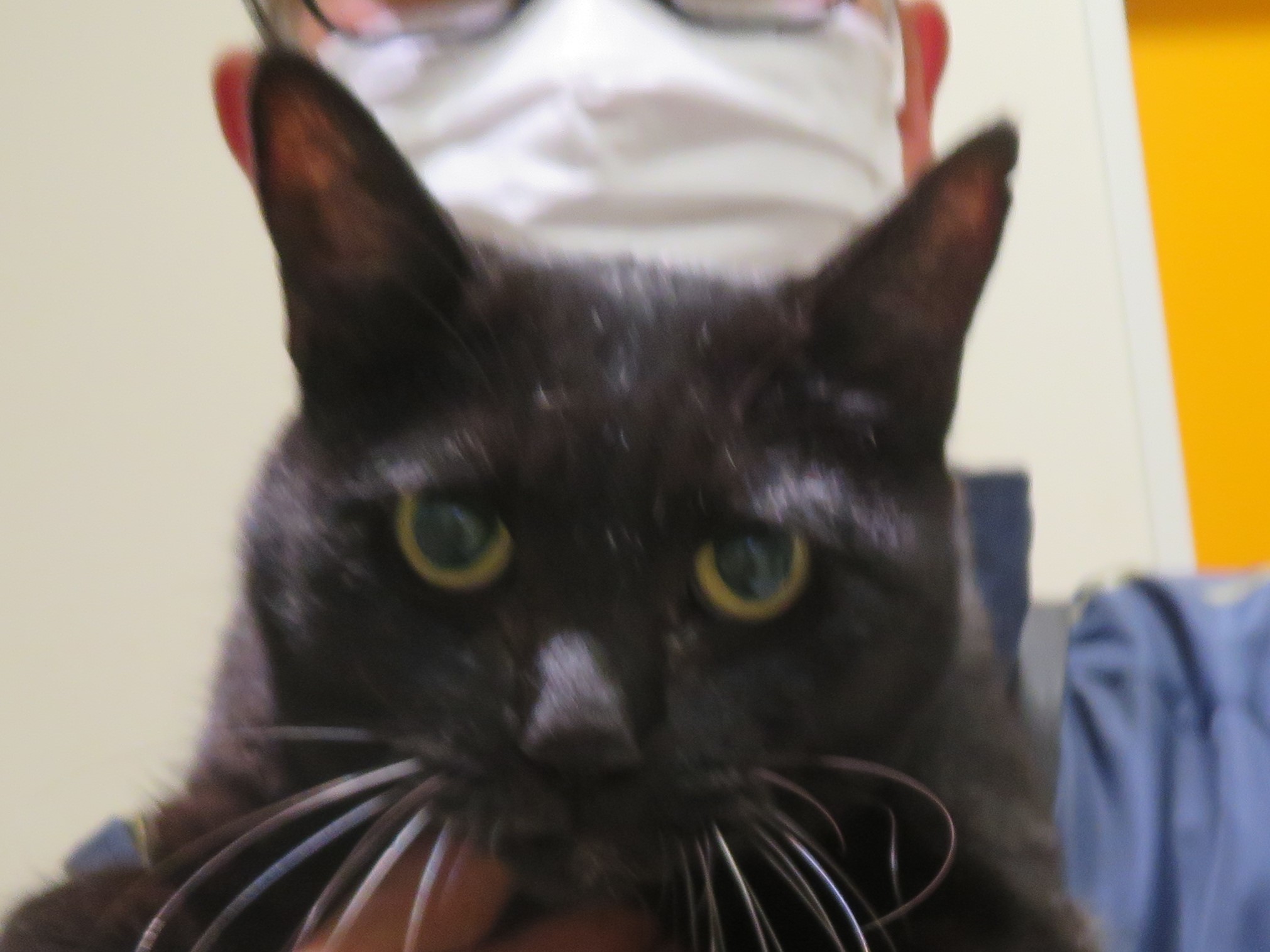 10月 21日の写真_c0174644_19430936.jpg