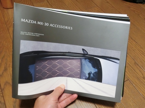 マツダ MX-30の試乗_e0045768_22372668.jpg