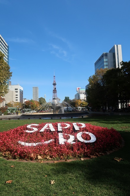 札幌の風景 大通公園 昼下がり 10月21日 ワイン好きの料理おたく 雑記帳 札幌の風景 大通公園 昼下がり 10月21日 ワイン好きの料理おたく 雑記帳