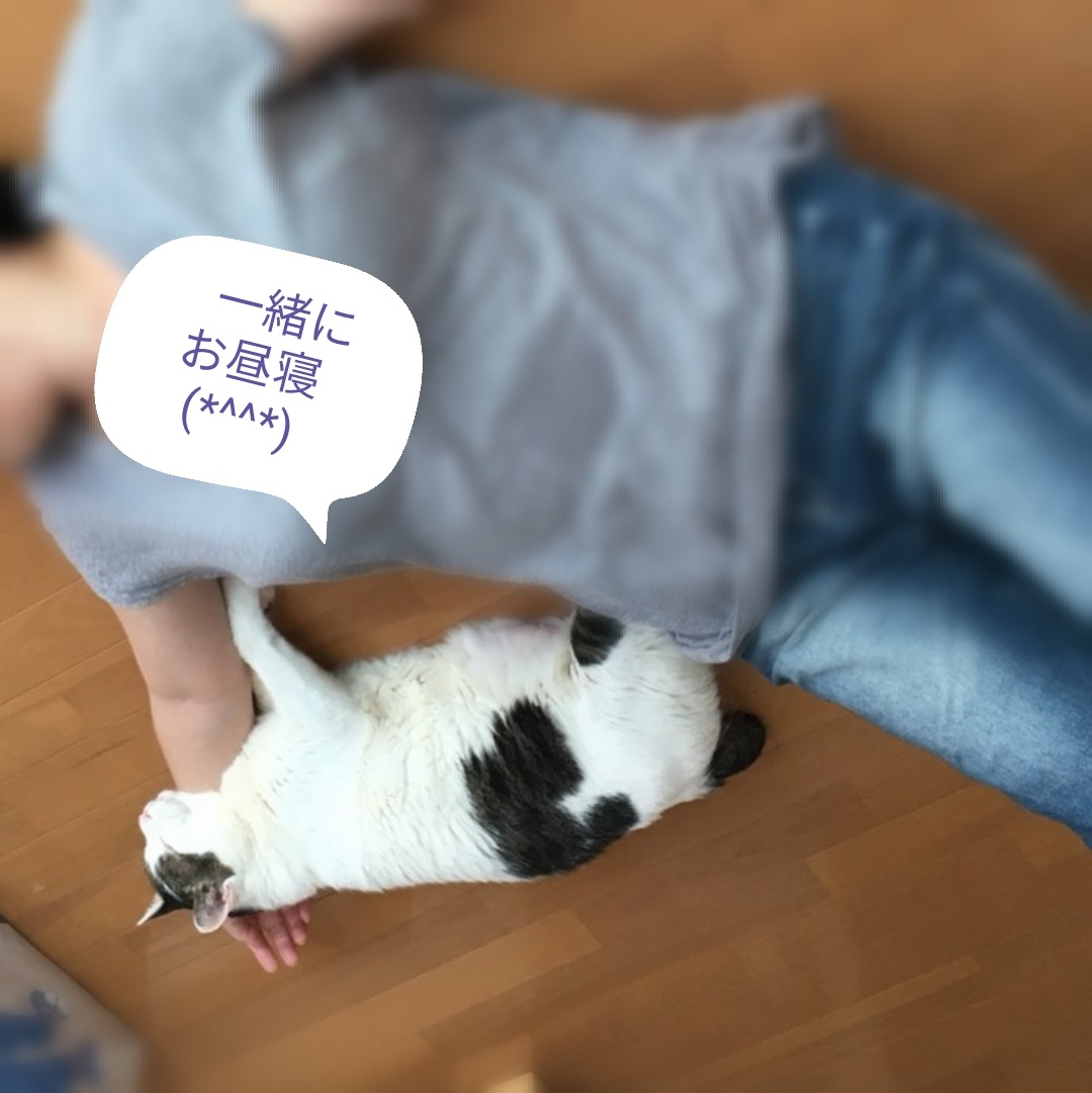夫のスマホに残ってるスグル_e0171874_23465218.jpg