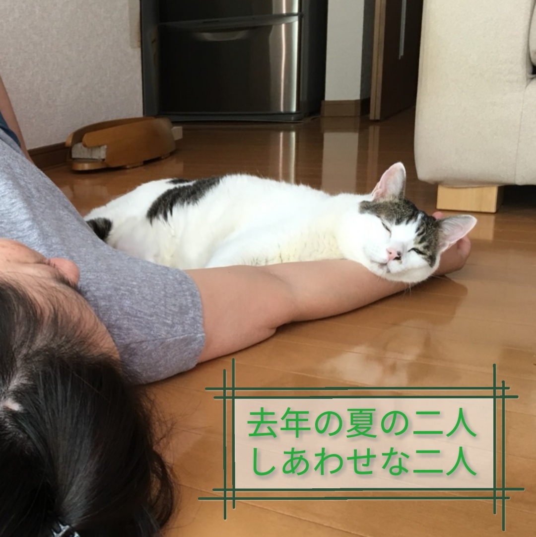 夫のスマホに残ってるスグル_e0171874_23465285.jpg