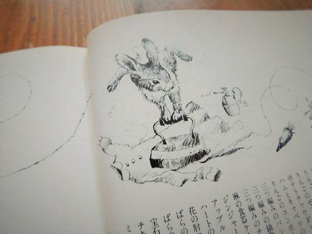 Book：赤毛のアンの手作り絵本 全3巻 : Books