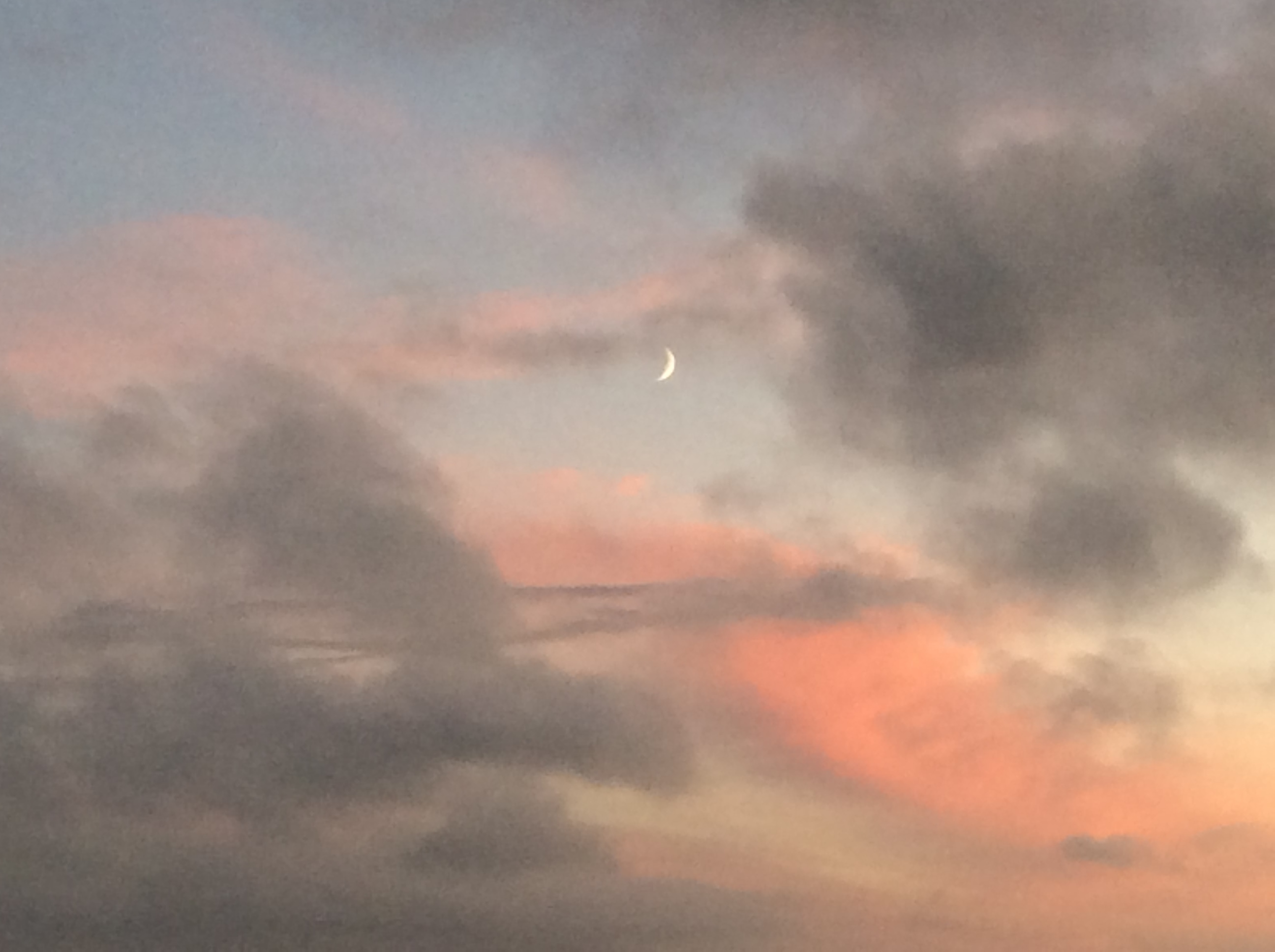 新月の夕方は、リンゴの収穫_b0110999_05064706.jpeg
