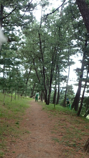 水軒堤防公園_c0367107_12051893.jpg