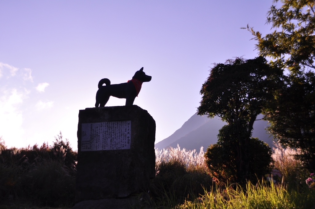 錦秋のくじゅう　2020　　～1日目　北大船山、大船山から法華院編～_e0314407_23243375.jpg