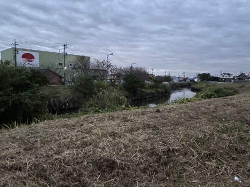 スッキリ堤防川面が見える 昨日は 映画鑑賞 認知症と向き合う ほか みつい 禮の演歌部屋