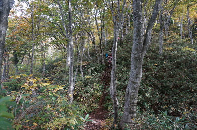 ちょっとそこまで(大辻山 1)_d0359010_17255475.jpg