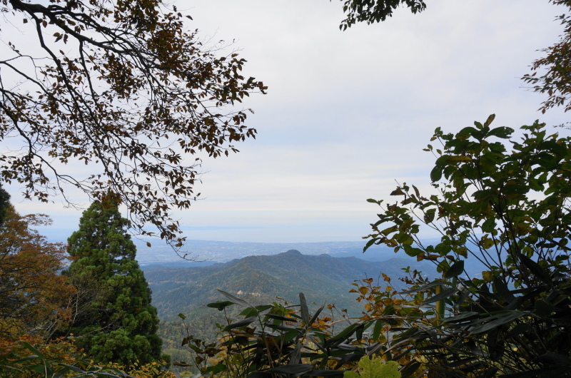 ちょっとそこまで(大辻山 1)_d0359010_17261663.jpg