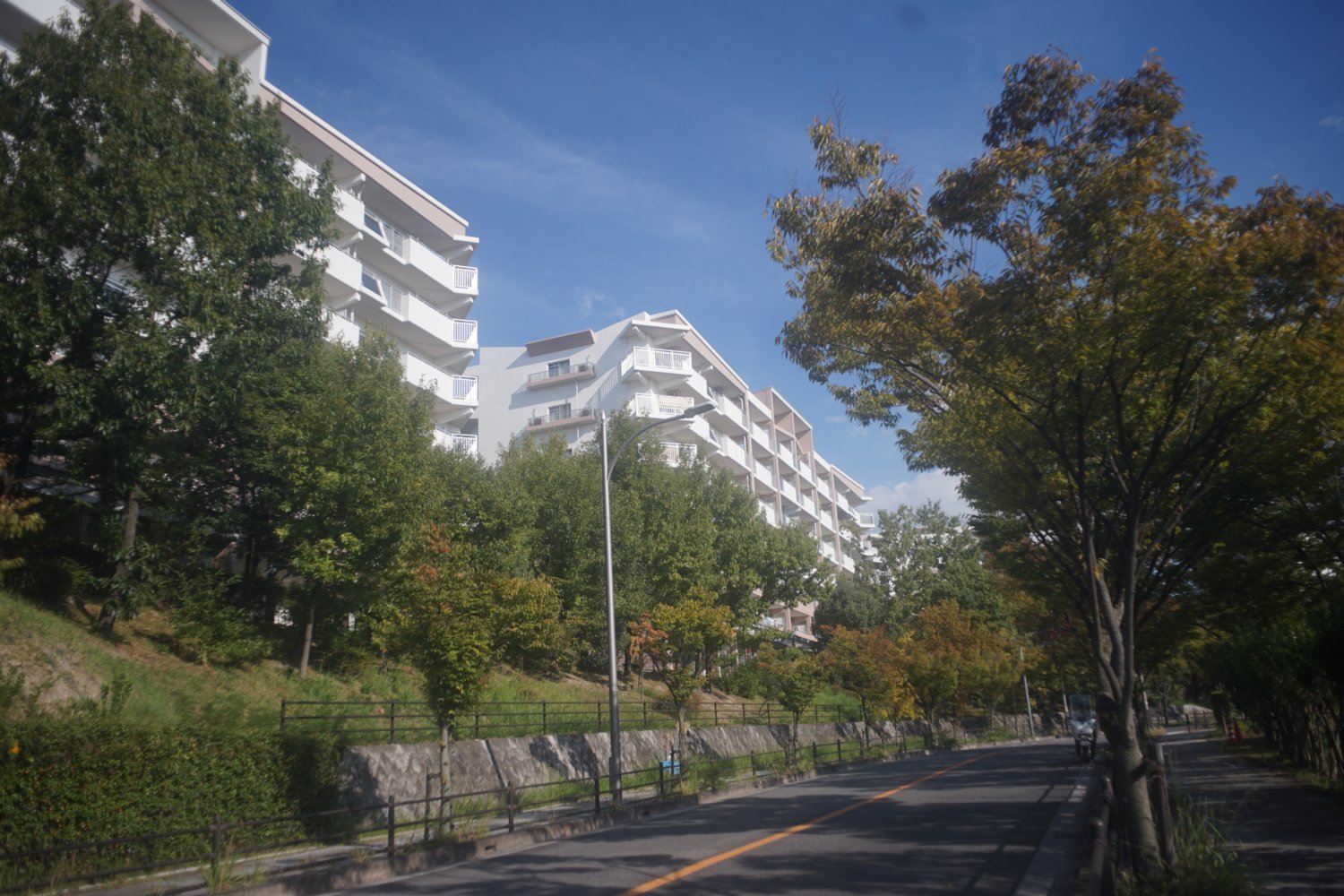 Canon FL 28mm F3.5 の フレアー画像_b0069128_09060114.jpg