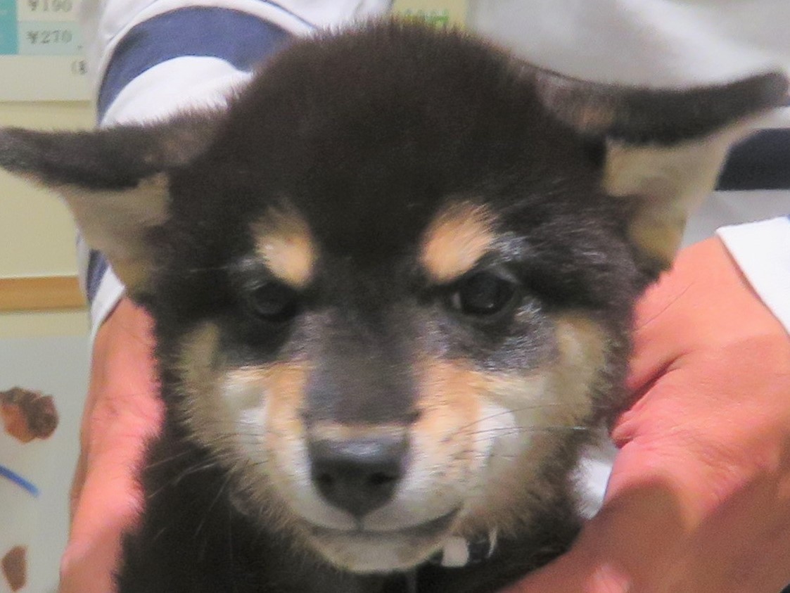 10 月 22 日の写真_c0174644_10113335.jpg