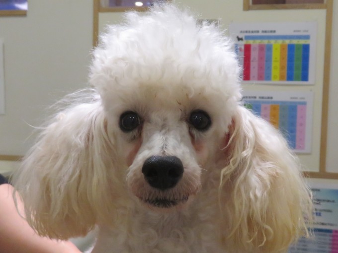 10 月 22 日の写真_c0174644_14265749.jpg