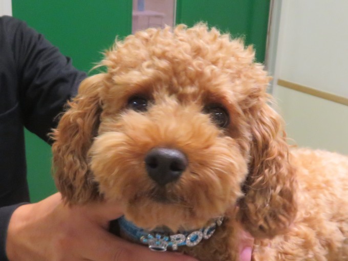 10 月 22 日の写真_c0174644_18284784.jpg