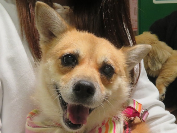 10 月 22 日の写真_c0174644_19381825.jpg