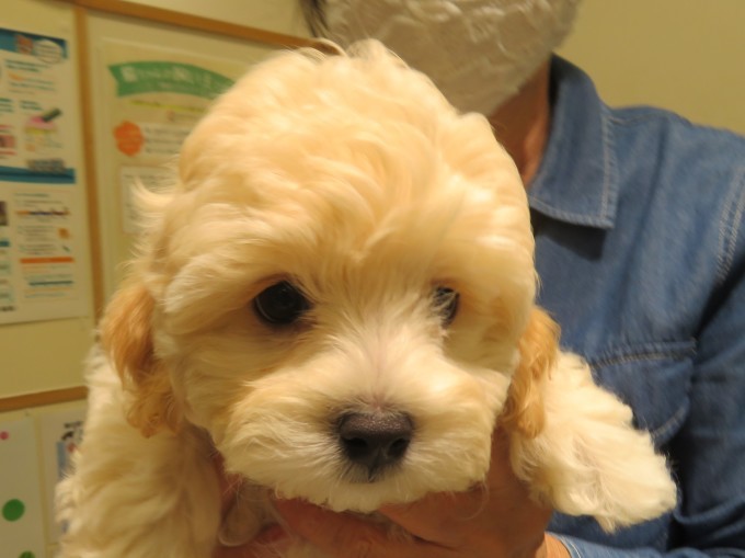10 月 22 日の写真_c0174644_19381918.jpg