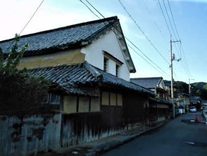 イワレンゲは屋根で育つ_e0175370_23171035.jpg